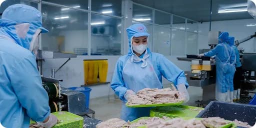 CÔNG TY CỔ PHẦN ĐỒ HỘP HẠ LONG - HẢI PHÒNG - 3