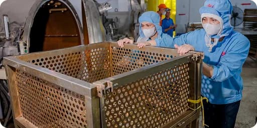 CÔNG TY CỔ PHẦN ĐỒ HỘP HẠ LONG - HẢI PHÒNG - 5